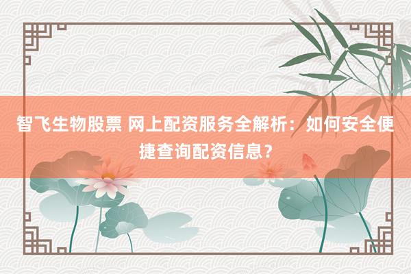 智飞生物股票 网上配资服务全解析：如何安全便捷查询配资信息？