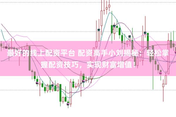 最好的线上配资平台 配资高手小刘揭秘：轻松掌握配资技巧，实现财富增值！