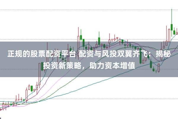 正规的股票配资平台 配资与风投双翼齐飞：揭秘投资新策略，助力资本增值