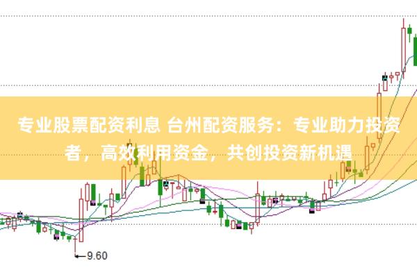 专业股票配资利息 台州配资服务：专业助力投资者，高效利用资金，共创投资新机遇