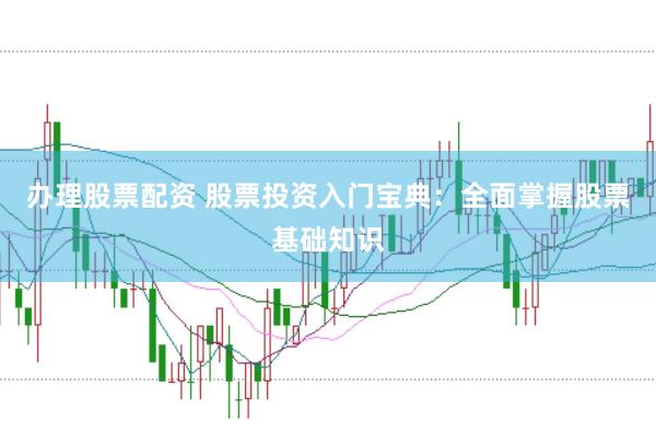 办理股票配资 股票投资入门宝典：全面掌握股票基础知识