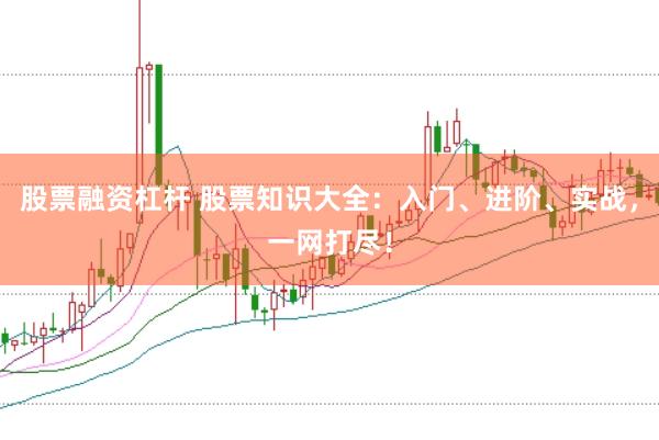 股票融资杠杆 股票知识大全：入门、进阶、实战，一网打尽！