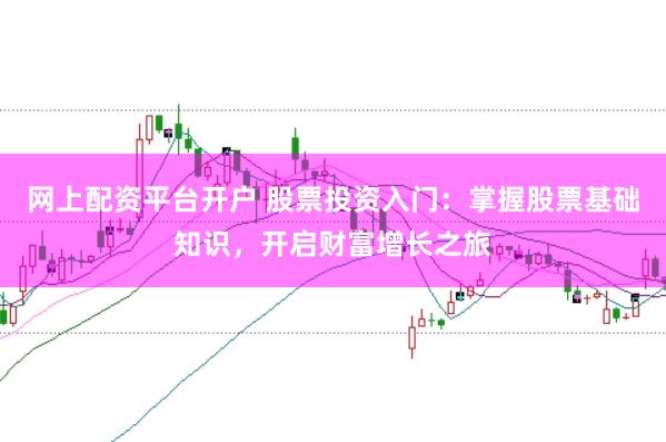 网上配资平台开户 股票投资入门：掌握股票基础知识，开启财富增长之旅