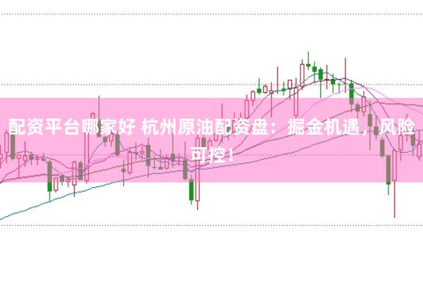 配资平台哪家好 杭州原油配资盘：掘金机遇，风险可控！