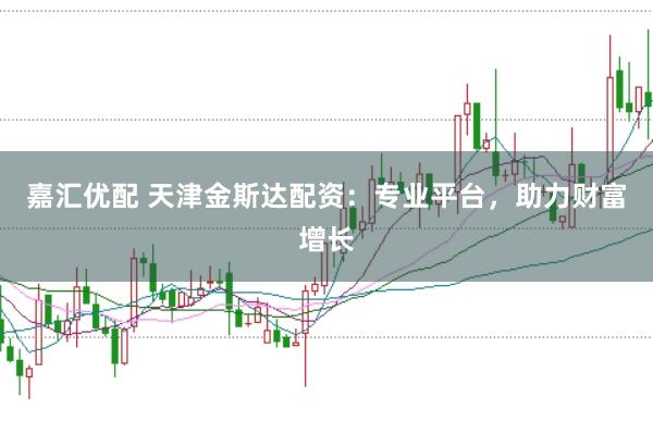 嘉汇优配 天津金斯达配资：专业平台，助力财富增长