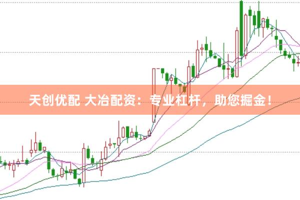天创优配 大冶配资：专业杠杆，助您掘金！