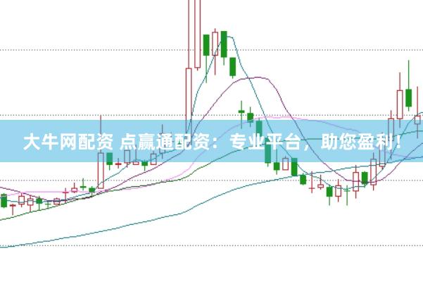 大牛网配资 点赢通配资：专业平台，助您盈利！