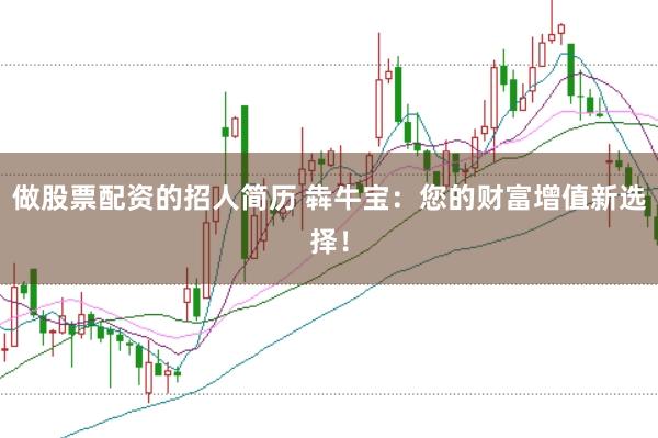做股票配资的招人简历 犇牛宝：您的财富增值新选择！