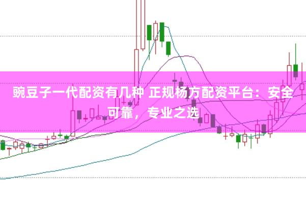 豌豆子一代配资有几种 正规杨方配资平台：安全可靠，专业之选