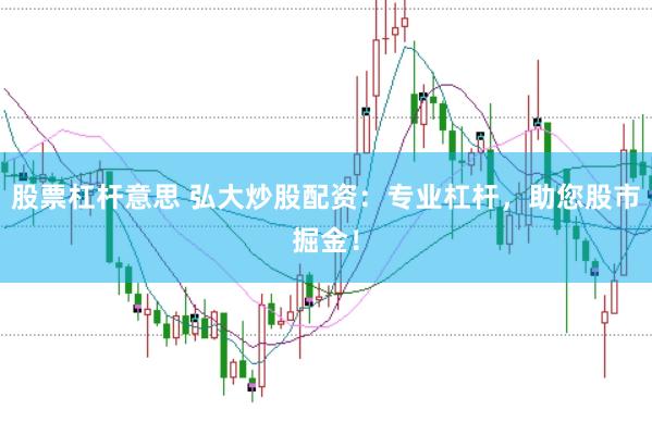 股票杠杆意思 弘大炒股配资：专业杠杆，助您股市掘金！