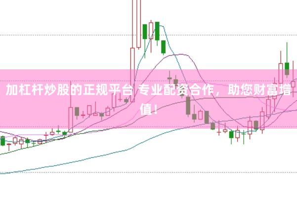 加杠杆炒股的正规平台 专业配资合作，助您财富增值！