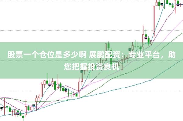 股票一个仓位是多少啊 展鹏配资：专业平台，助您把握投资良机