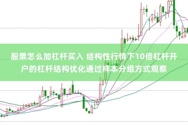 股票怎么加杠杆买入 结构性行情下10倍杠杆开户的杠杆结构优化通过样本分组方式观察