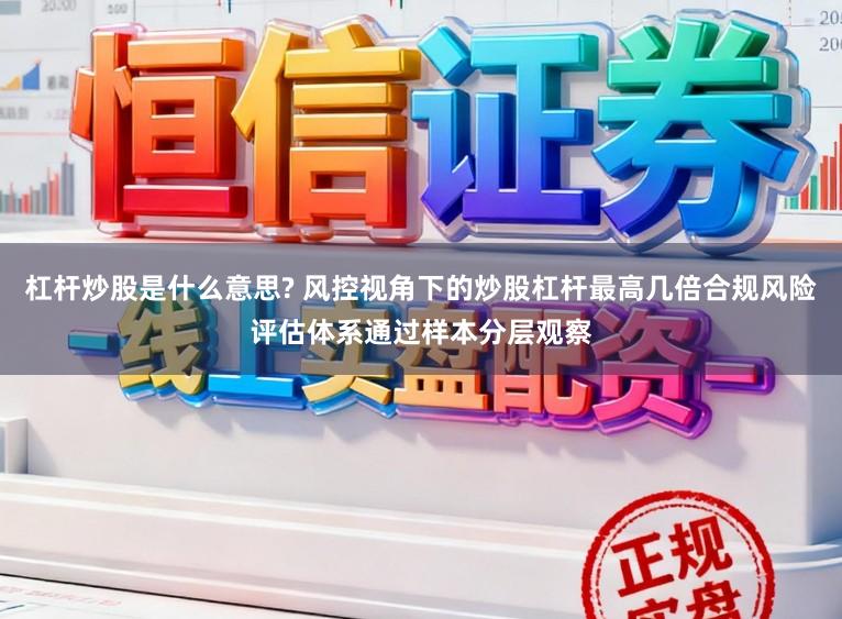 杠杆炒股是什么意思? 风控视角下的炒股杠杆最高几倍合规风险评估体系通过样本分层观察