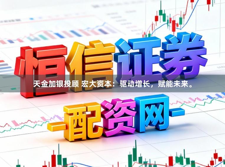 天金加银投顾 宏大资本：驱动增长，赋能未来。